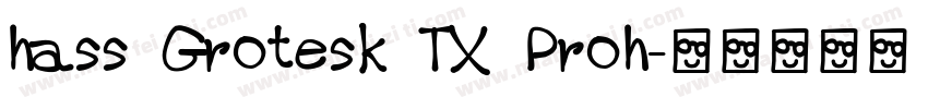 hass Grotesk TX Proh字体转换